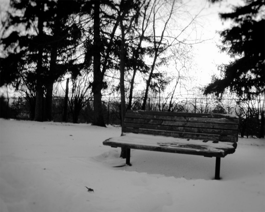 Snowy Park Bench, Ошава