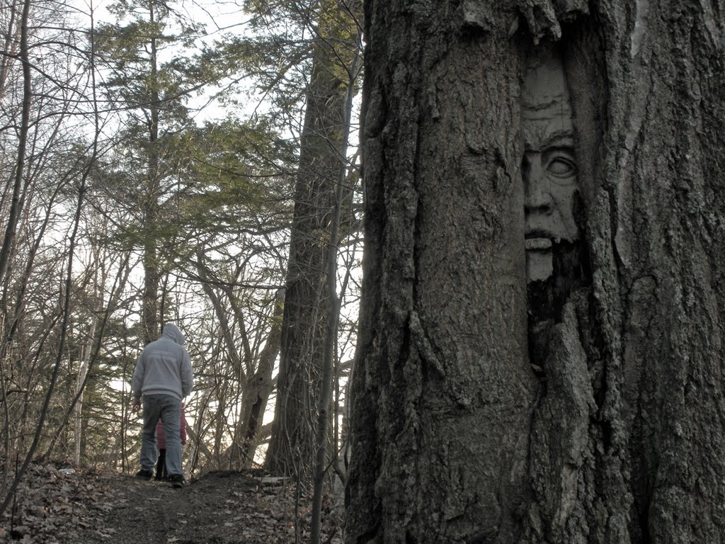 Face in the woods, Пикеринг