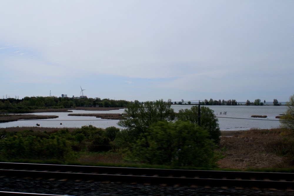 Frenchmans Bay view from the train, Пикеринг