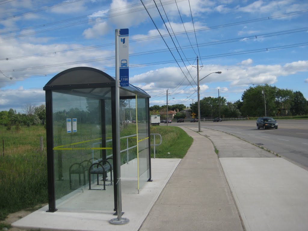 YRT Bus Stop #1196 at St. Robert CHS, Ричмонд-Хилл