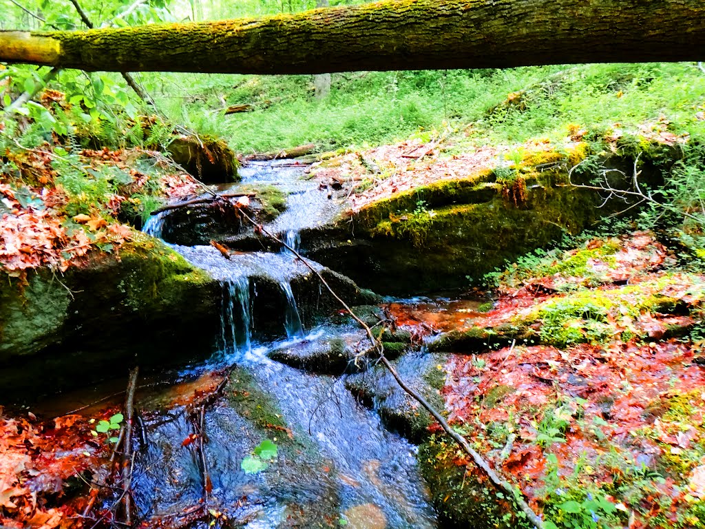 Waterfall, Солт-Сант-Мари