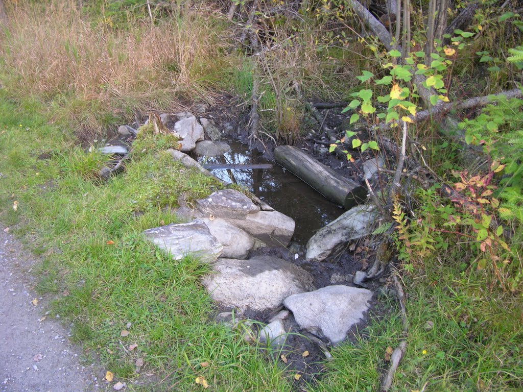 Creek Near City Hospital, Тимминс