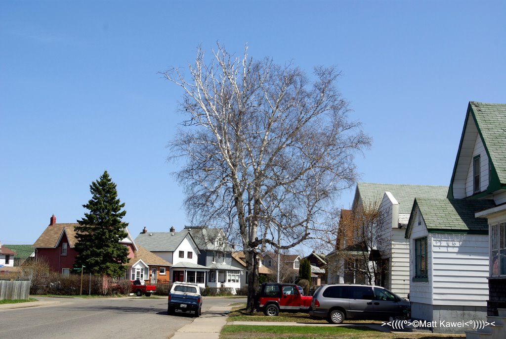 Midday view of Dease Street, Тундер Бэй