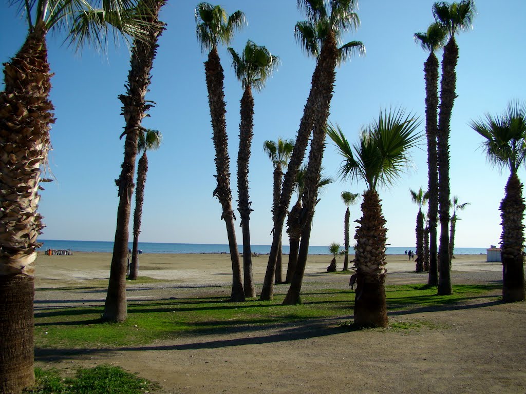 Larnaca Promenade, Athenon Avenue, Cyprus, Ларнака