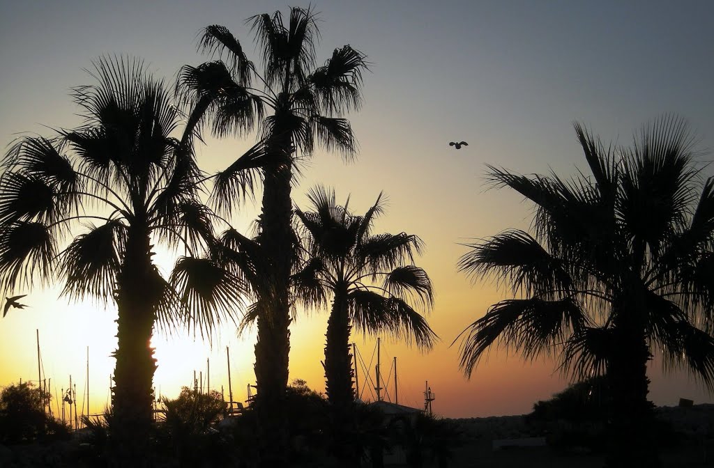 Rasarit la Larnaca, Ларнака