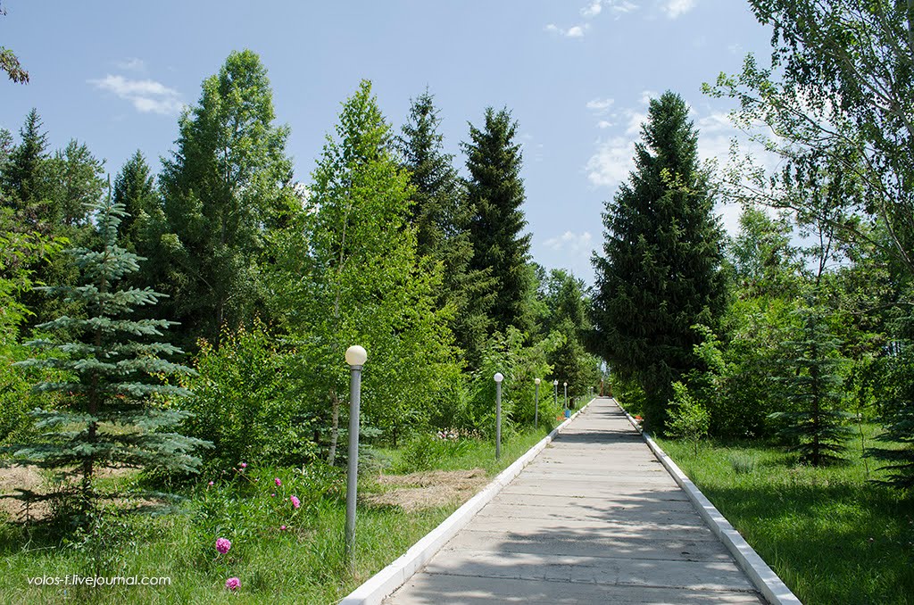 Аллея в мемориальном музее Н.М.Пржевальского (июнь 2013г.), Пржевальск