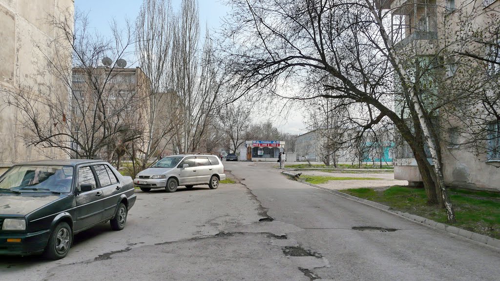 Фото Кара-Балта. 2014 год. в городе Кара-Балта