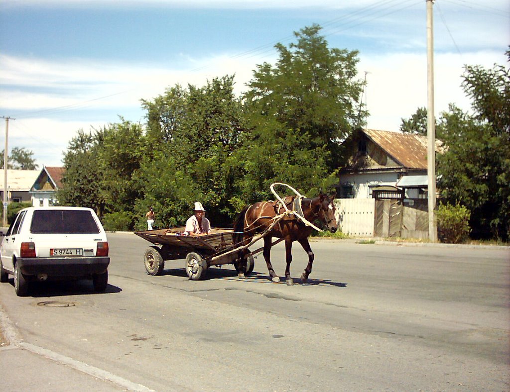 Pferdewagen in Kara-Balta, Кара-Балта