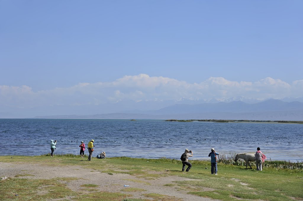 吉尔吉斯伊塞湖畔 Issyk Kul,Rybachye,Kyrgyzstan, Балыкчи