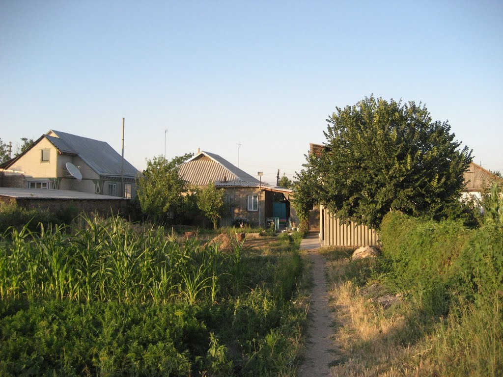 Houses, Беловодское