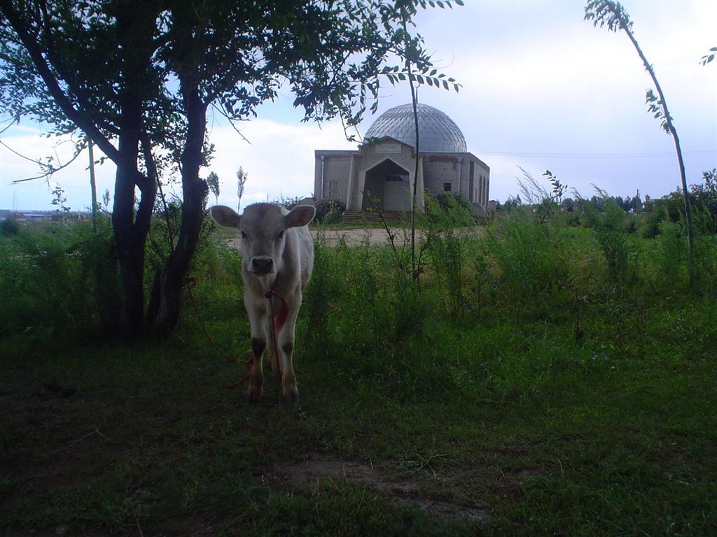 Mosque near Issyk Kul, Чолпон-Ата