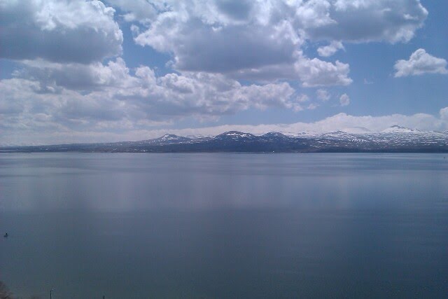 Lake Sevan, Чаек