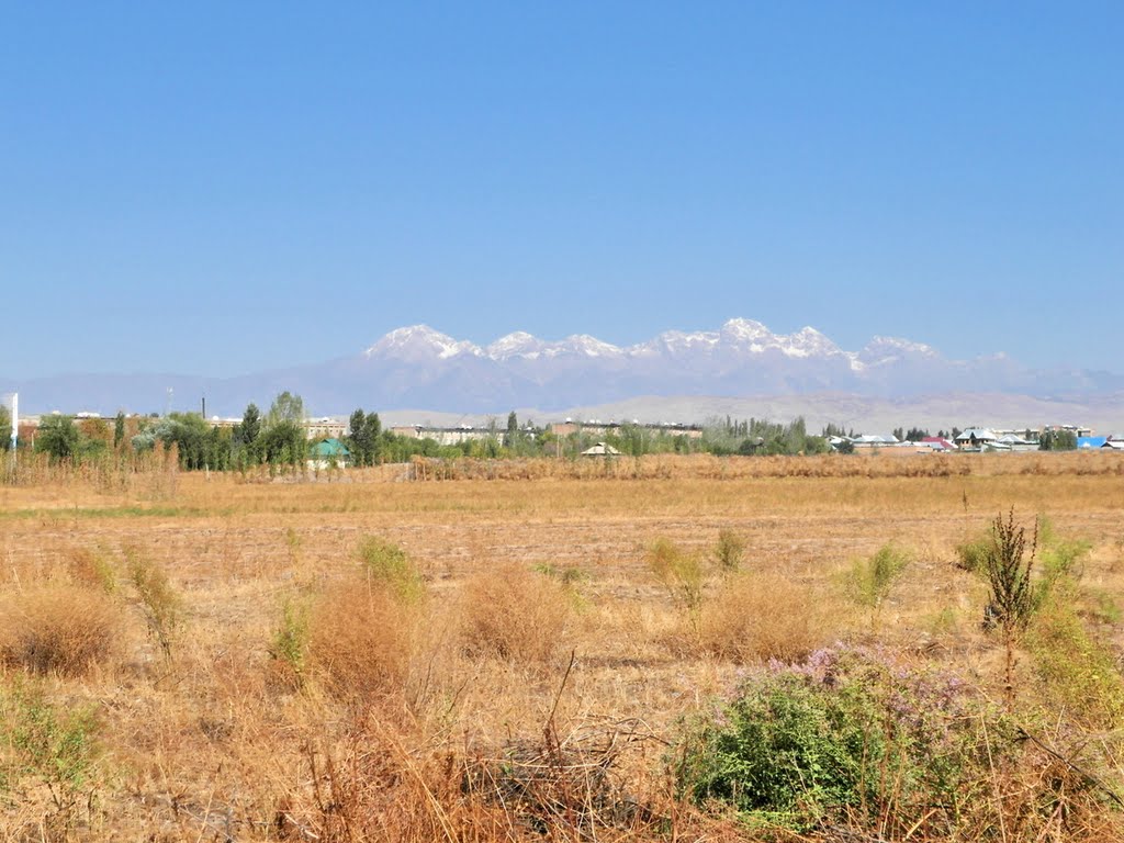 Kyrgyzstan, Jalal-Abad / Кыргызстан, Джалал-Абад, в районе Аэропорта, Джалал-Абад