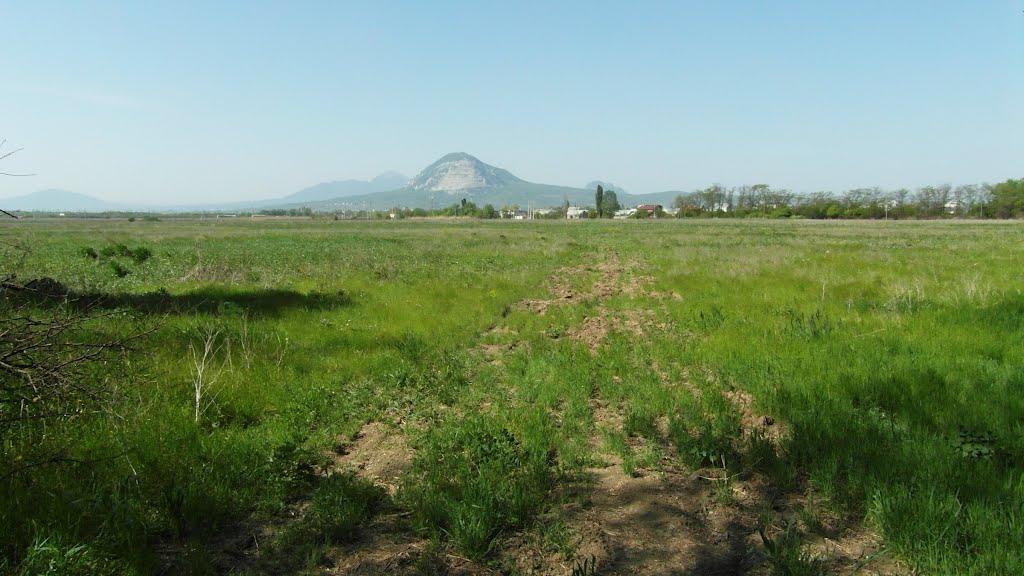 Поле 2012, Field, Карамык