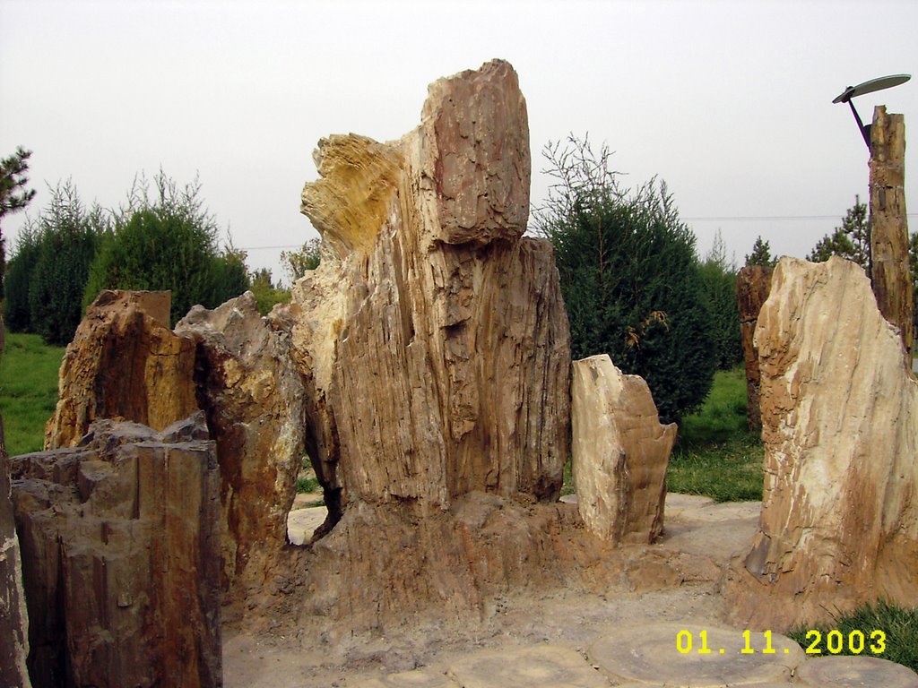 木化石, Баотоу