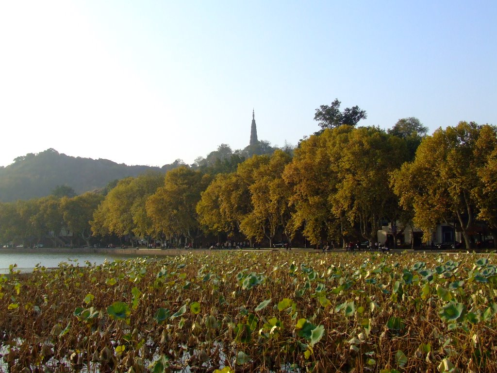 Pagoda next to the West Lake, Ханчоу