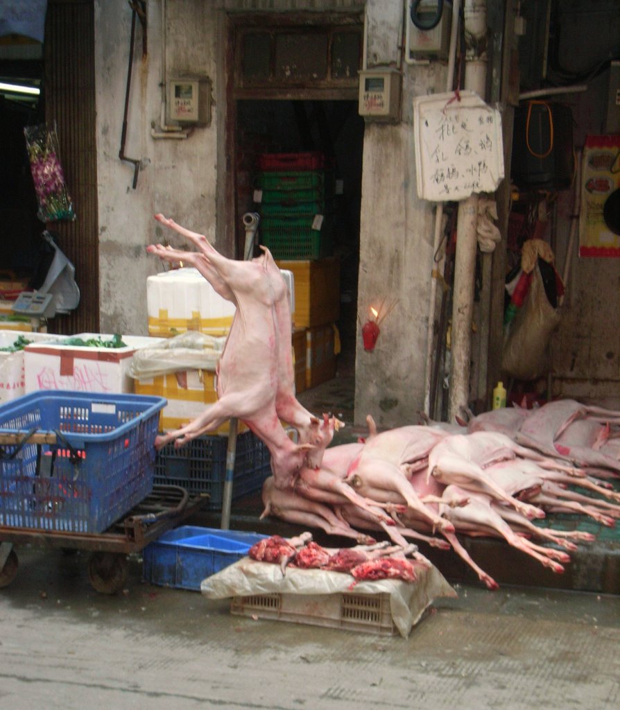 Goats, Rams, Market, Guangzhou, Гуанчжоу