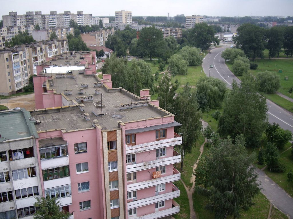 roof, Барановичи