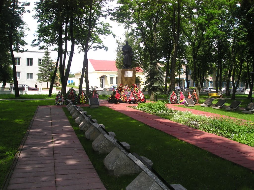 Комсомольский сквер, Береза