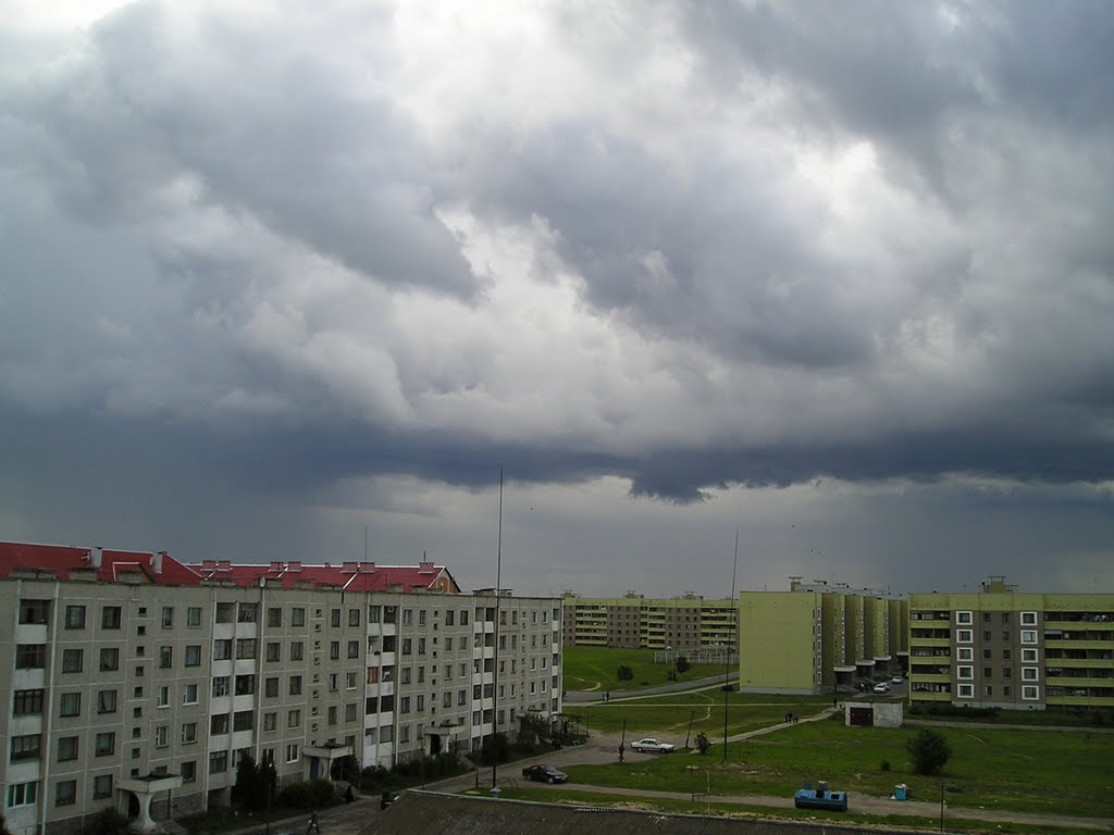 Тучи над Северным городком (Rain clouds over Severny Gorodok), Береза