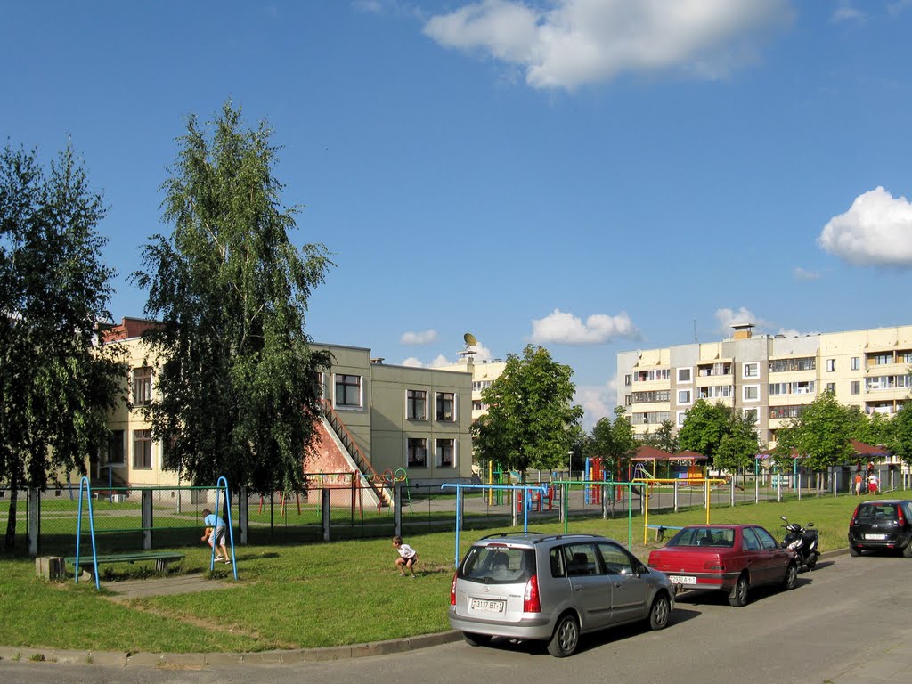 Северный городок, во дворе дома №71 (In the courtyard of Severny gorodok, 71), Береза