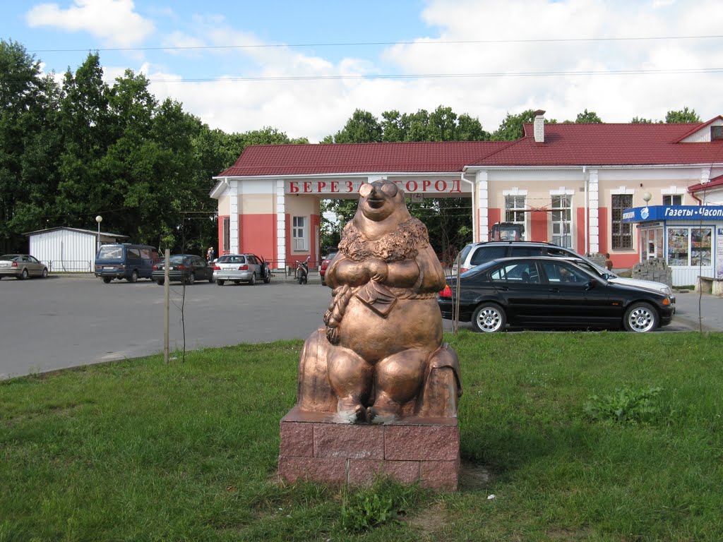 Около станции "Берёза-город" (Near railway station), Береза