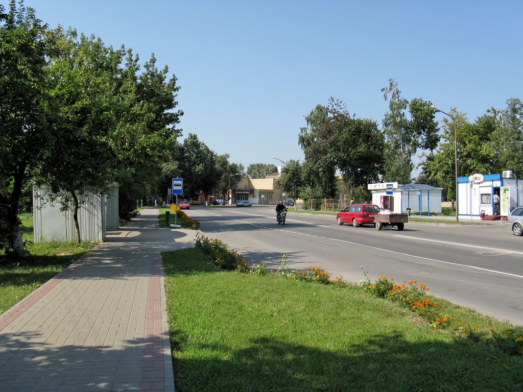 Комсомольская улица (Komsomolskaya sreet), Береза