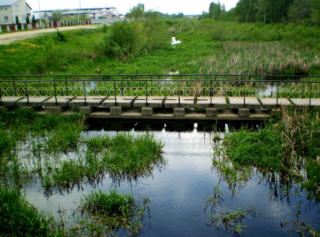 Ручай Крэчат, Береза