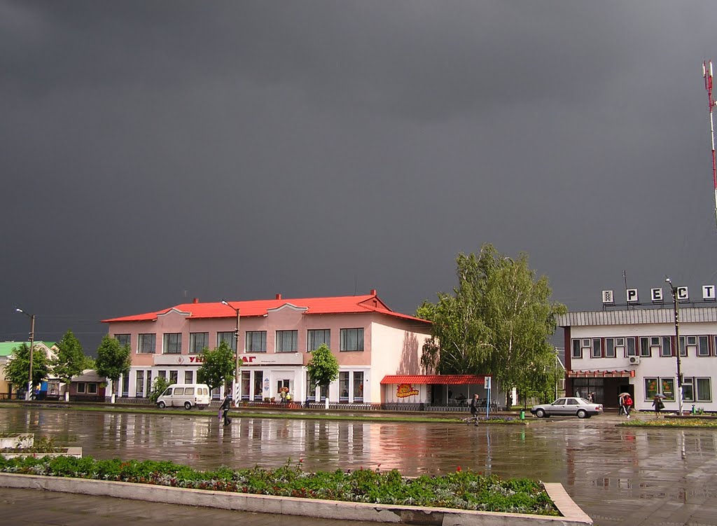 Площадь после дождя (After The Storm), Береза Картуска