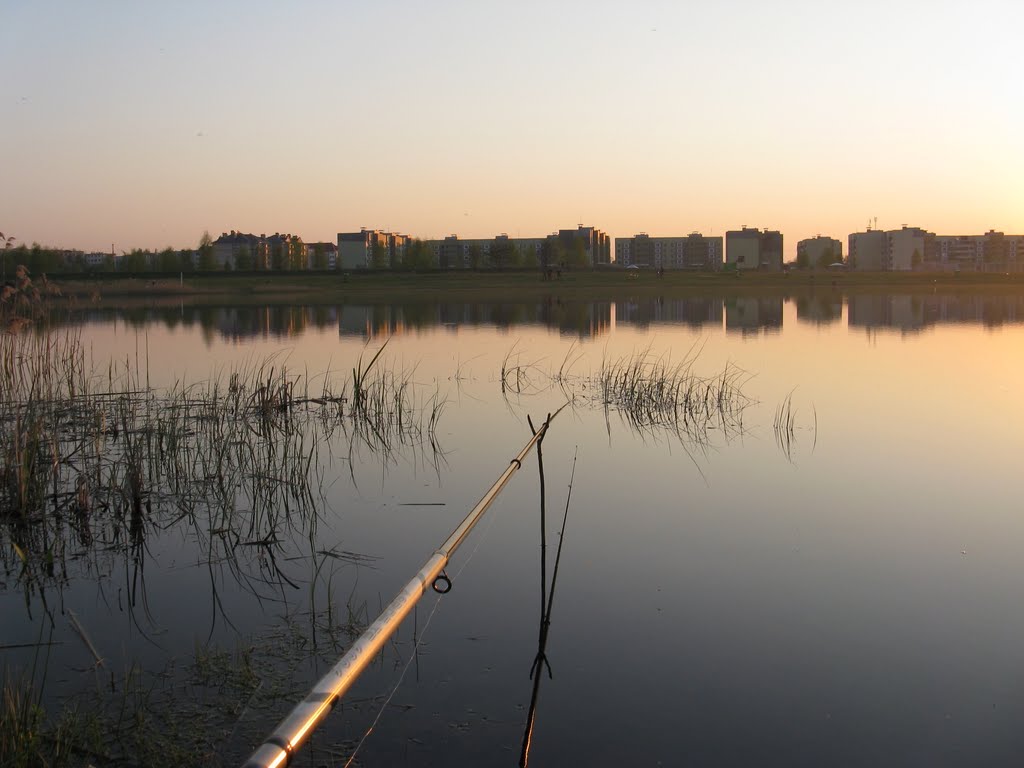 На озере (On The Lake), Береза Картуска