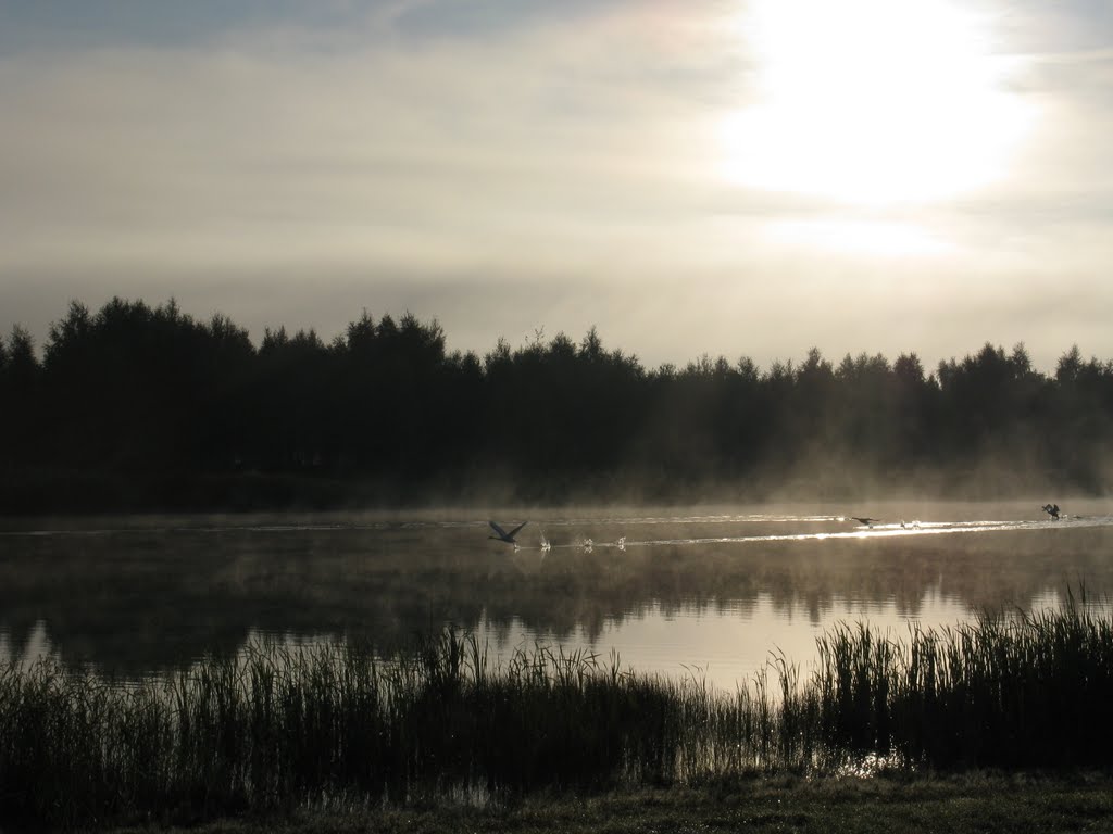 Утро на озере (Lake in the morning), Береза Картуска