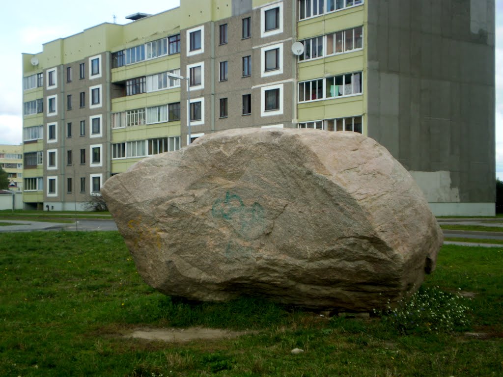 Вялікі камень, Береза Картуска