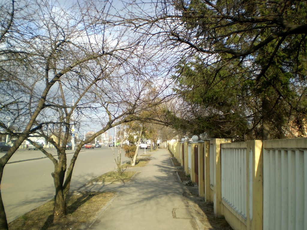 Тратуар (зараз яшчэ і веладарожка) на вул. Маскоўскай, Брест