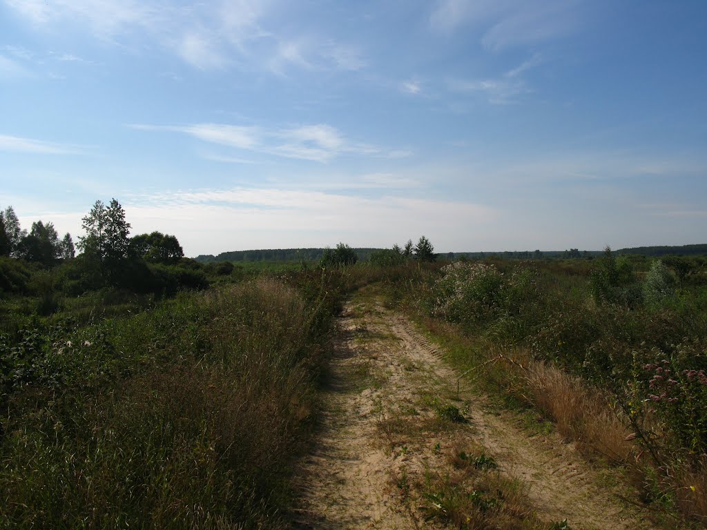 road of Polesye, Городище