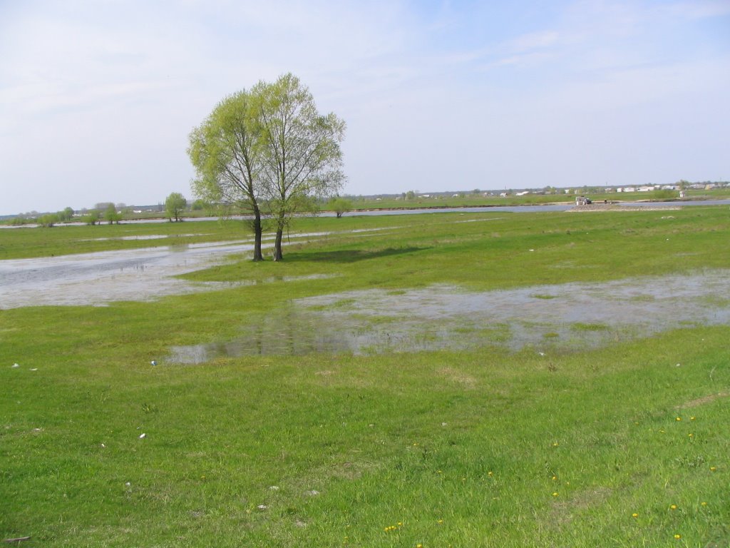 Horyń river near Dawidgródek, Давид-Городок