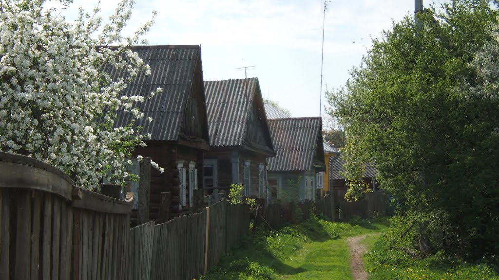 In the shadow of Fortress Hill, Давид-Городок