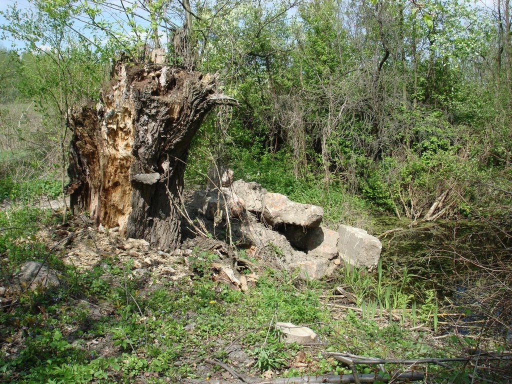 Остатки фундамента Нейдорфской кирхи (свезены в ров в марте 2008) 28.04.2008, Домачево