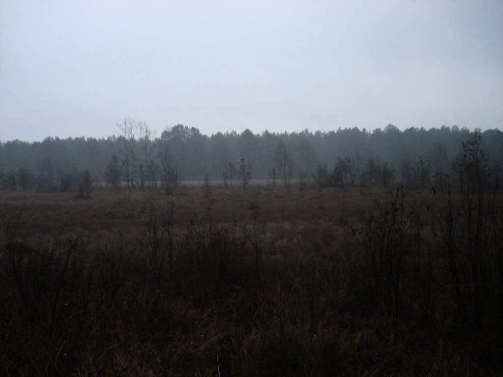 Шилово болото (фото во время дождя) 22.12.2008, Домачево
