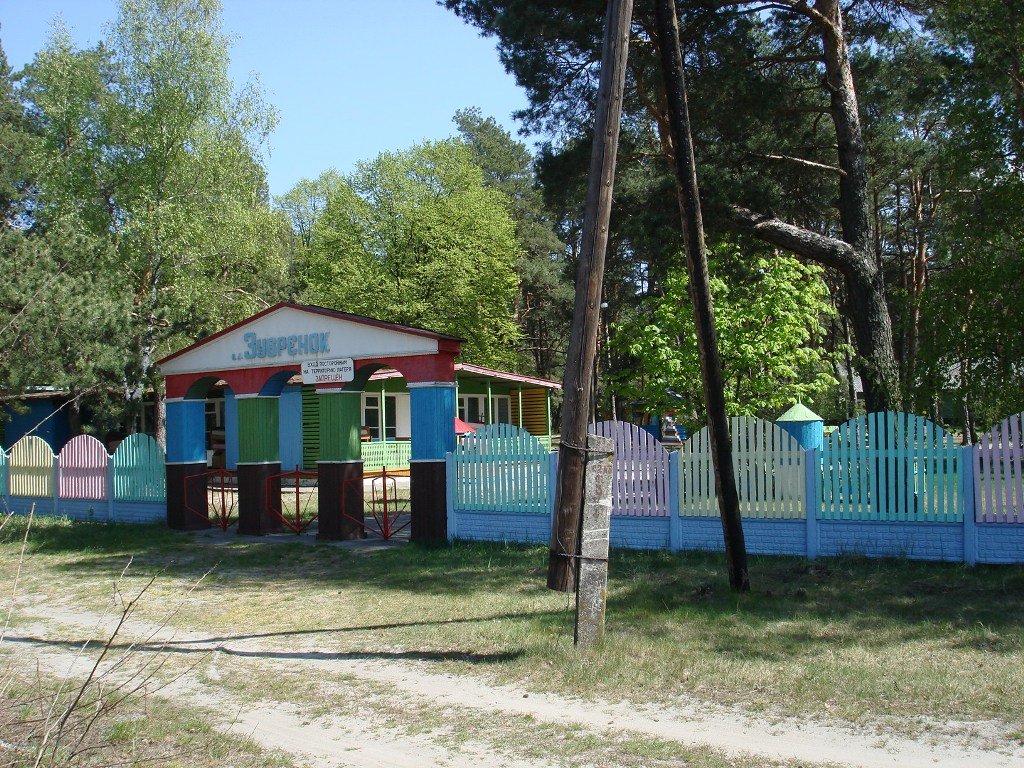 Лагерь Зубрёнок Фото