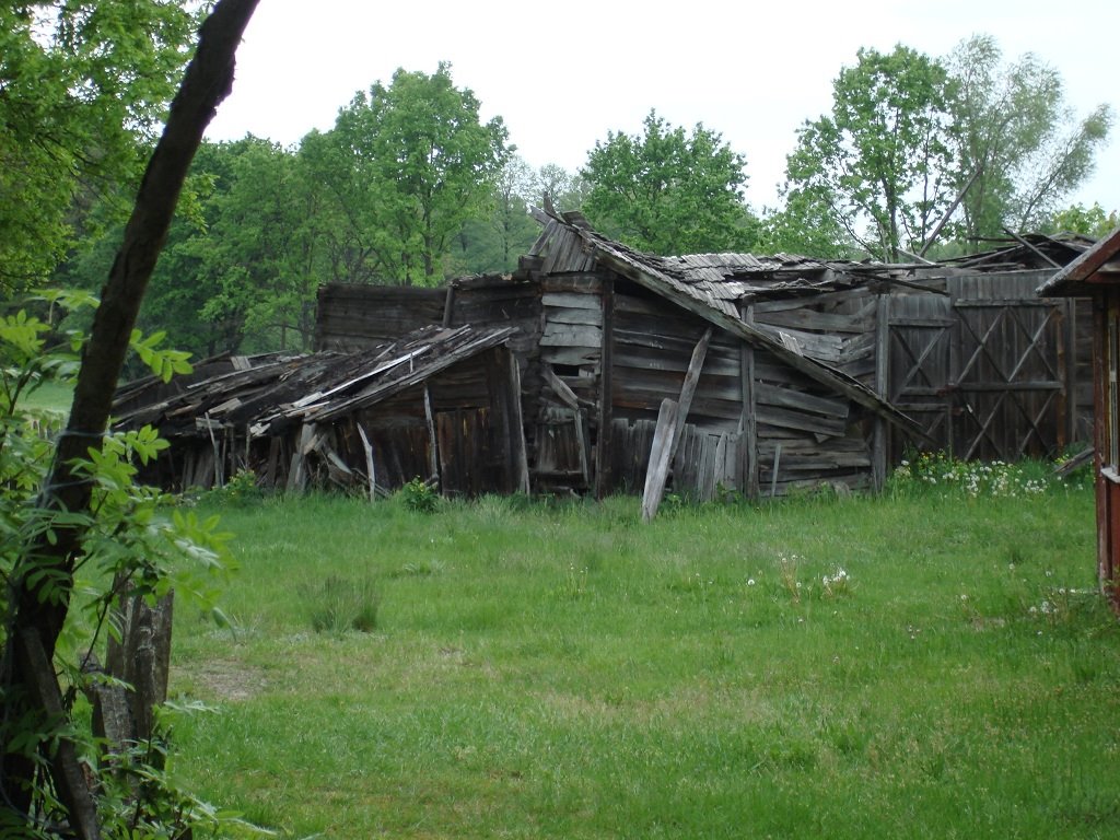 Руины (весна 2007г.), Домачево