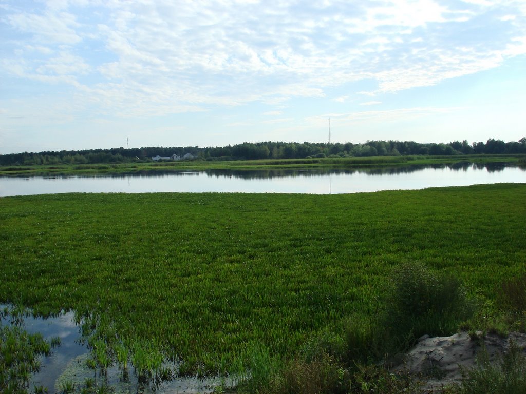 Вид Домачево со стороны рыбхоза. Лето 2007г., Домачево