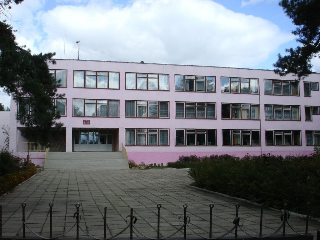 Школа (осень 2007г.), Домачево