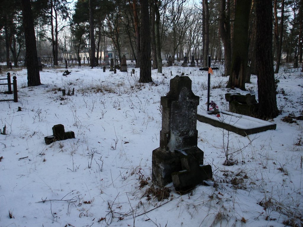 Старое польское кладбище (фото 13 января 2008г.), Домачево