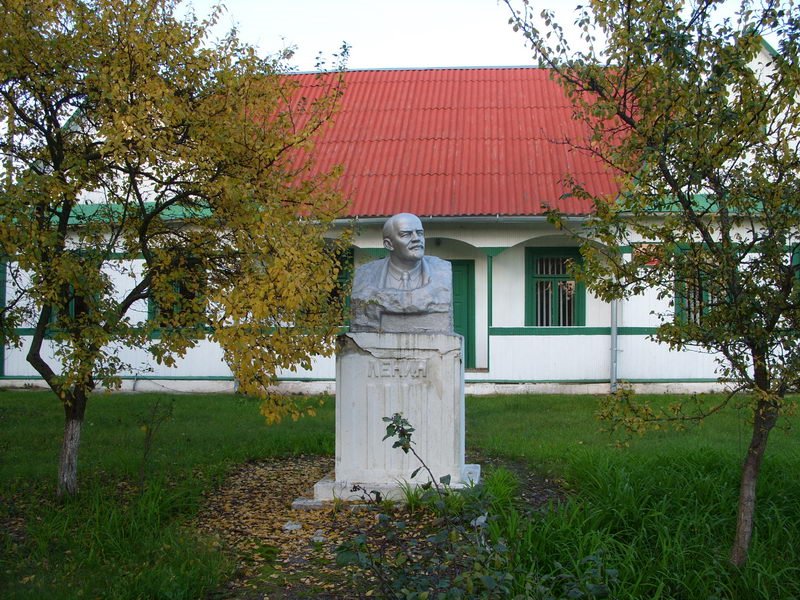 В. И. Ленин, Каменец
