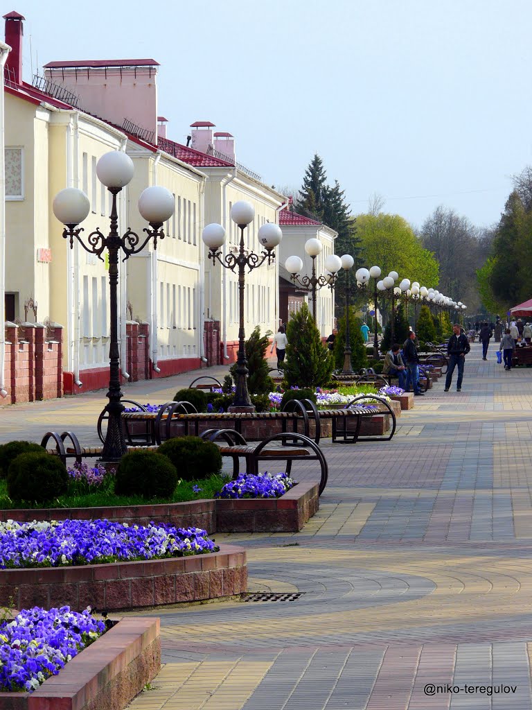 Улица Суворова, Кобрин