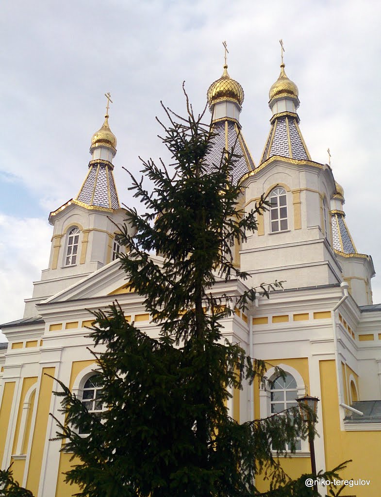Свято Александро-Невский собор, Кобрин