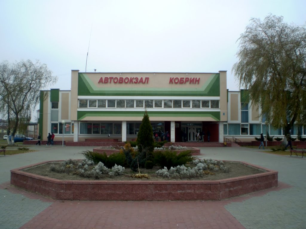 Аўтавакзал Кобрын, Кобрин