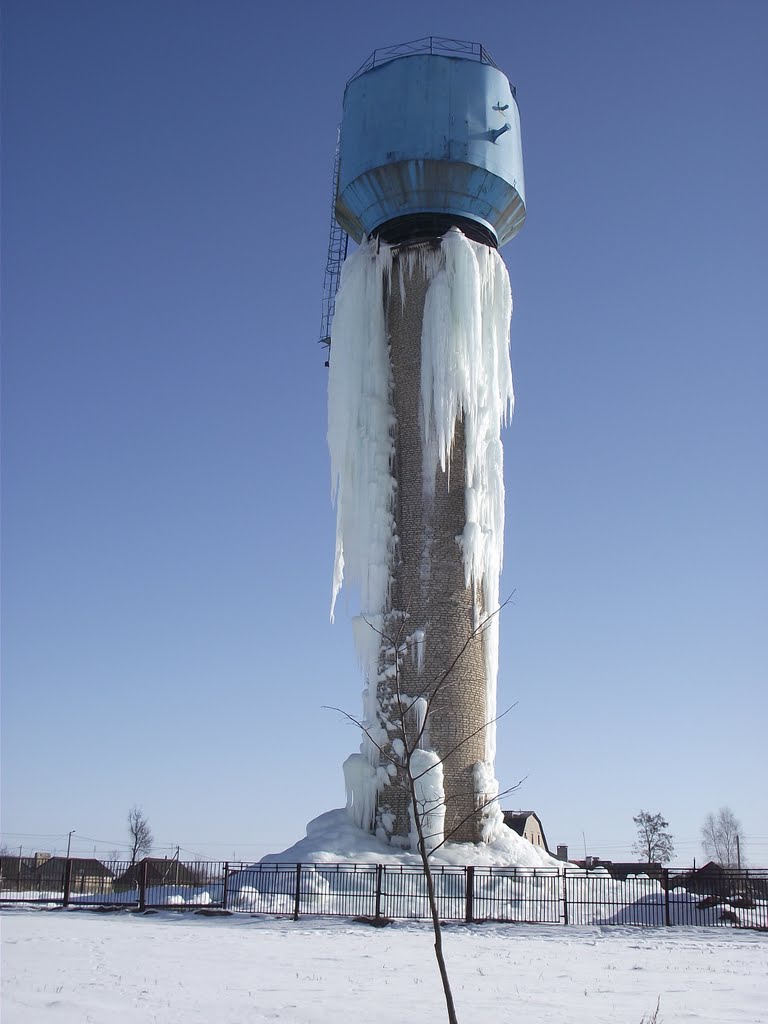 water tower, Ляховичи