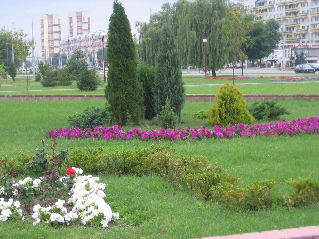 Nice Pink Flowers, Минск