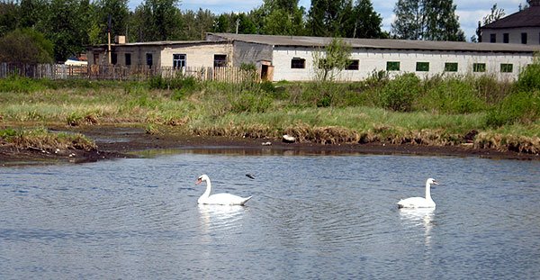 Kaesemaŭskaje pond in Biahomľ, Бегомль